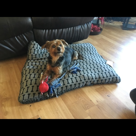 Meet your Posher, Doreen - Picture 5 of 7